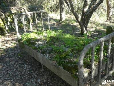 La Alberca, Sierra de Francia; grupos para caminar por madrid ruta de los almendros senderismo gourm